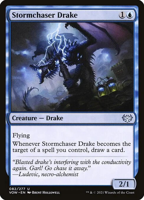 Stormchaser Drake, carta Magic di tipo Creature — Drake illustrata da Brent Hollowell