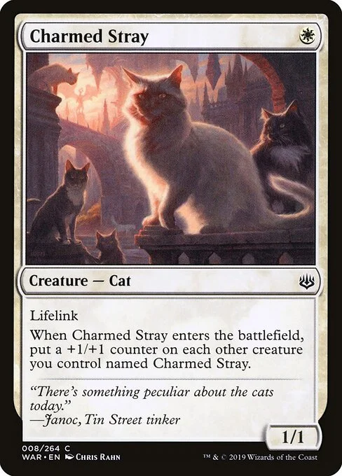 Charmed Stray, carta Magic di tipo Creature — Cat illustrata da Chris Rahn