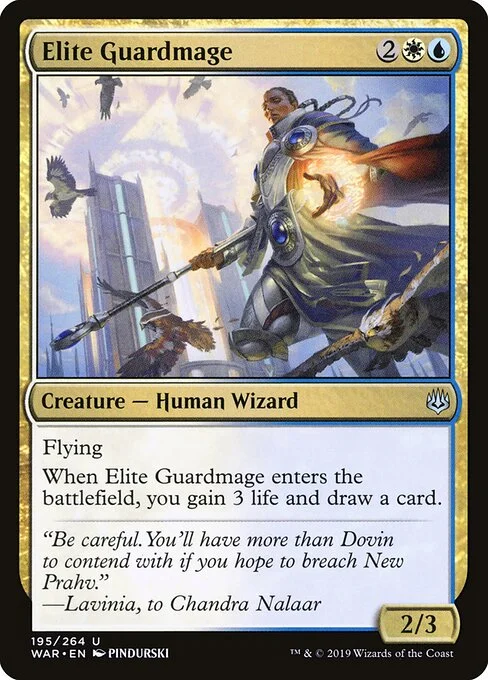 Elite Guardmage, carta Magic di tipo Creature — Human Wizard illustrata da PINDURSKI
