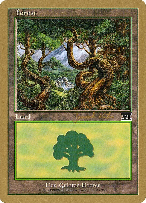 Forest, carta Magic di tipo Basic Land — Forest illustrata da Quinton Hoover