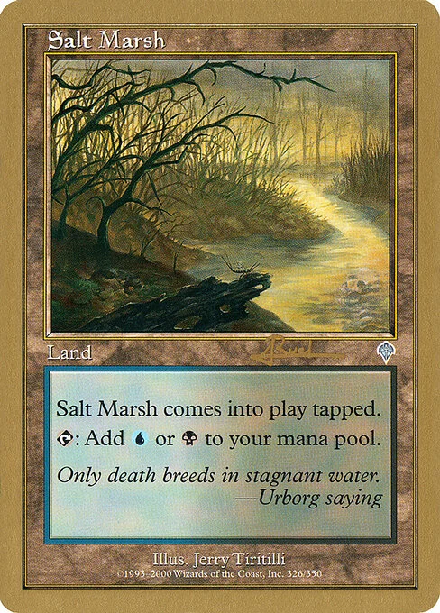 Salt Marsh, carta Magic di tipo Land illustrata da Jerry Tiritilli