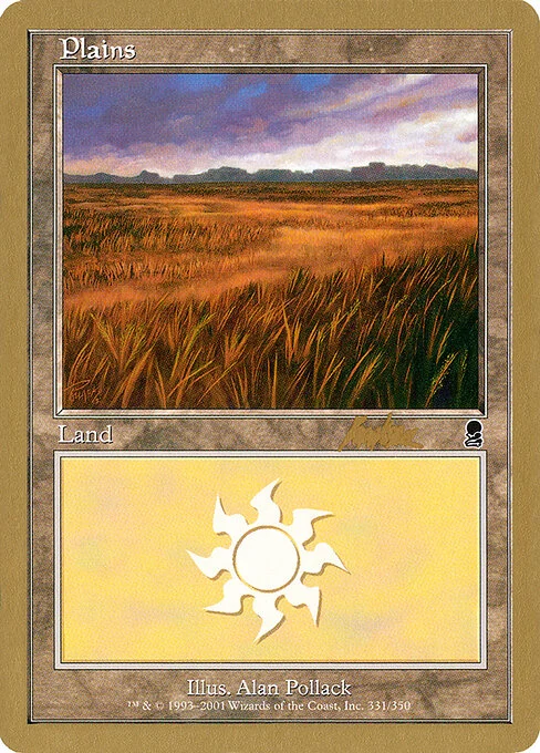 Plains, carta Magic di tipo Basic Land — Plains illustrata da Alan Pollack