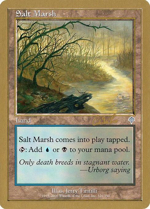 Salt Marsh, carta Magic di tipo Land illustrata da Jerry Tiritilli
