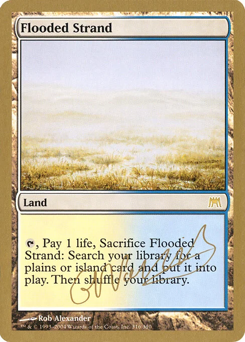 Flooded Strand, carta Magic di tipo Land illustrata da Rob Alexander