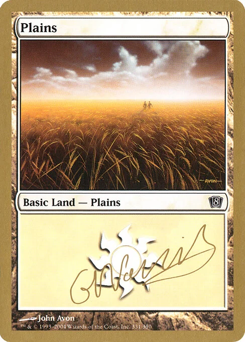 Plains, carta Magic di tipo Basic Land — Plains illustrata da John Avon