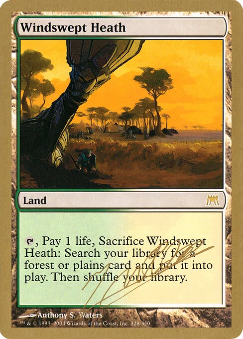 Windswept Heath, carta Magic di tipo Land illustrata da Anthony S. Waters