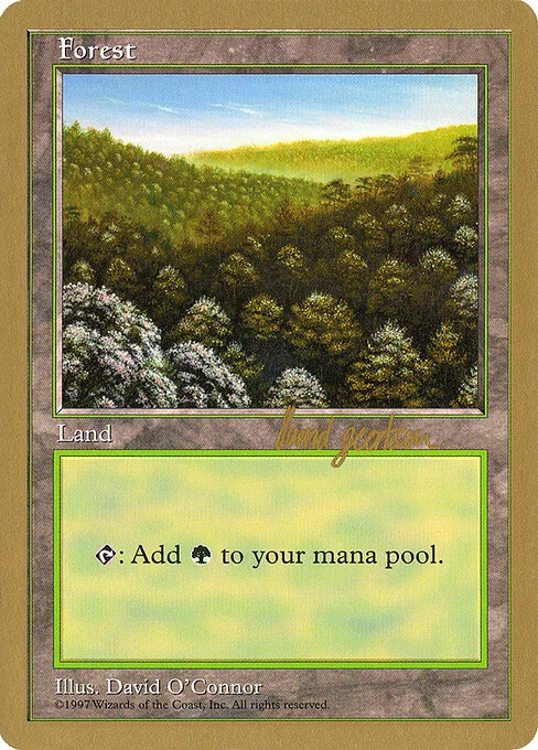 Forest, carta Magic di tipo Basic Land — Forest illustrata da David O'Connor