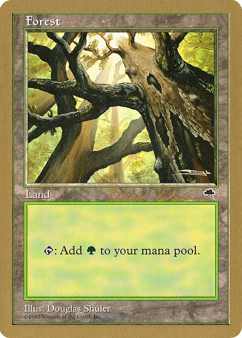 Forest, carta Magic di tipo Basic Land — Forest illustrata da Douglas Shuler