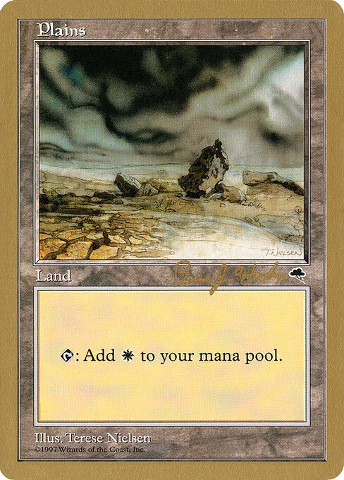 Plains, carta Magic di tipo Basic Land — Plains illustrata da Terese Nielsen