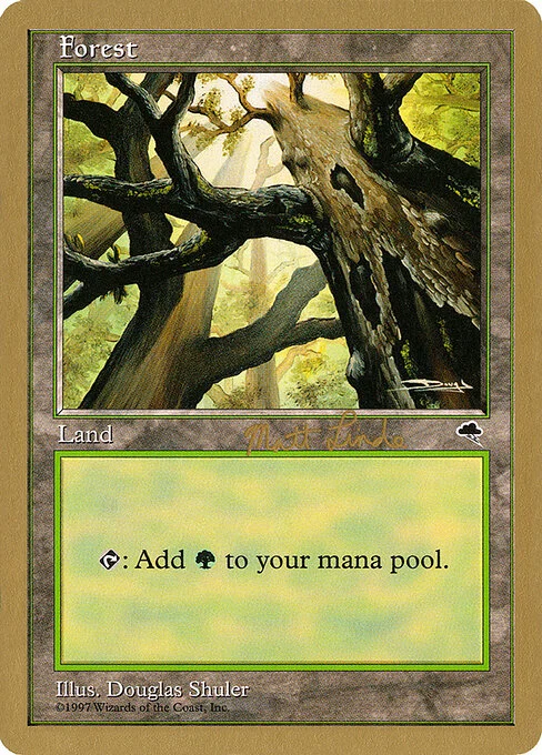 Forest, carta Magic di tipo Basic Land — Forest illustrata da Douglas Shuler