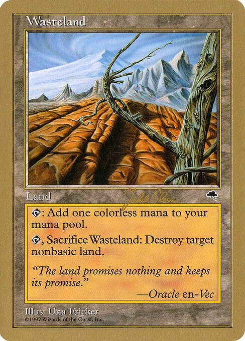 Wasteland, carta Magic di tipo Land illustrata da Una Fricker