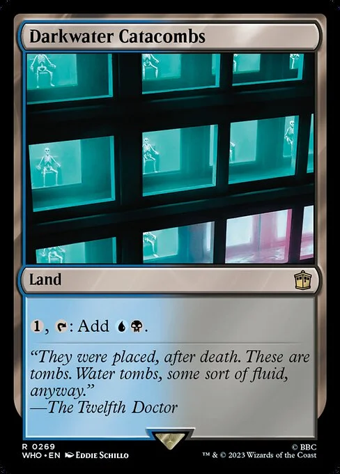 Darkwater Catacombs, carta Magic di tipo Land illustrata da Eddie Schillo