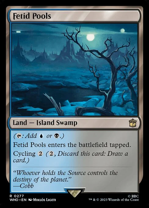 Fetid Pools, carta Magic di tipo Land — Island Swamp illustrata da Miklós Ligeti