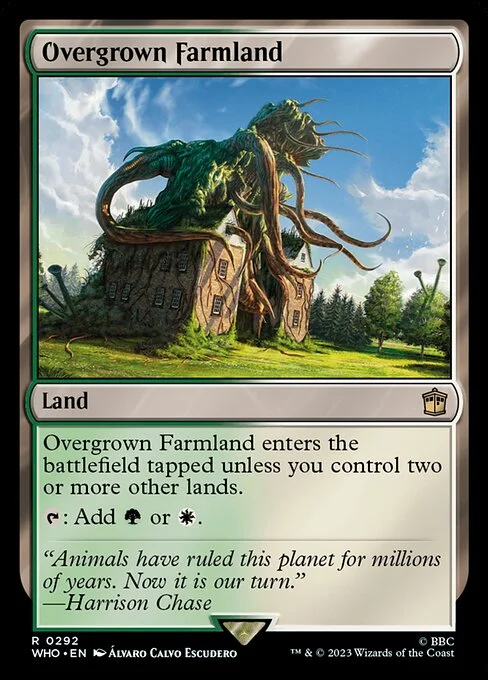 Overgrown Farmland, carta Magic di tipo Land illustrata da Álvaro Calvo Escudero
