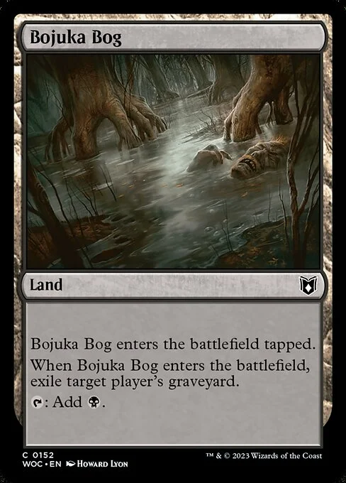 Bojuka Bog, carta Magic di tipo Land illustrata da Howard Lyon