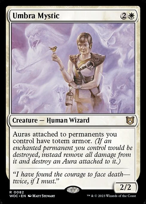 Umbra Mystic, carta Magic di tipo Creature — Human Wizard illustrata da Matt Stewart
