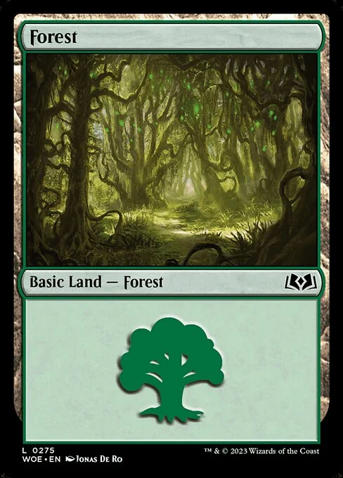 Forest, carta Magic di tipo Basic Land — Forest illustrata da Jonas De Ro