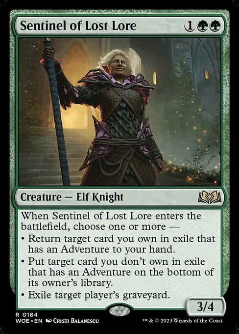 Sentinel of Lost Lore, carta Magic di tipo Creature — Elf Knight illustrata da Cristi Balanescu