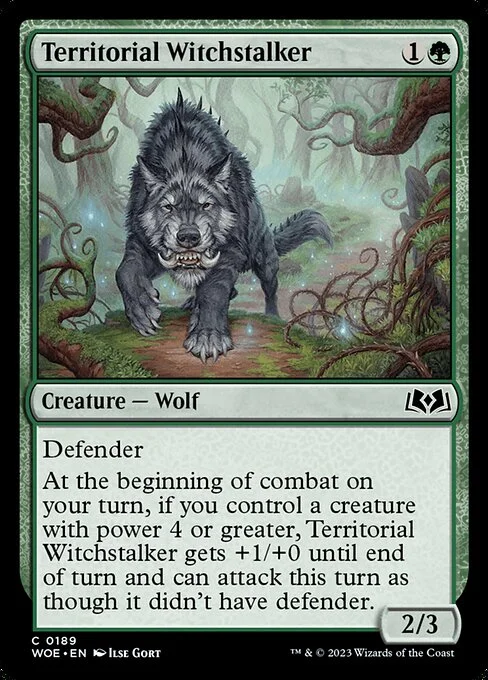 Territorial Witchstalker, carta Magic di tipo Creature — Wolf illustrata da Ilse Gort