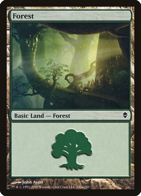 Forest, carta Magic di tipo Basic Land — Forest illustrata da John Avon
