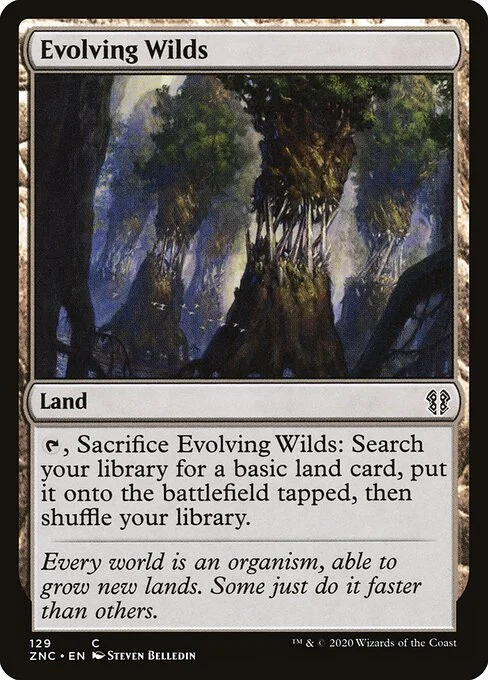 Evolving Wilds, carta Magic di tipo Land illustrata da Steven Belledin
