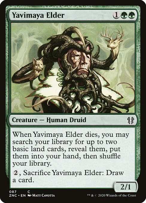 Yavimaya Elder, carta Magic di tipo Creature — Human Druid illustrata da Matt Cavotta