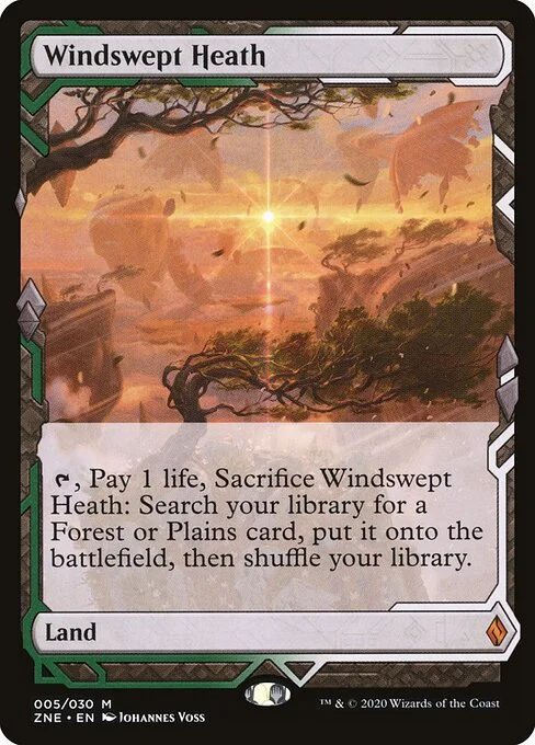 Windswept Heath, carta Magic di tipo Land illustrata da Johannes Voss