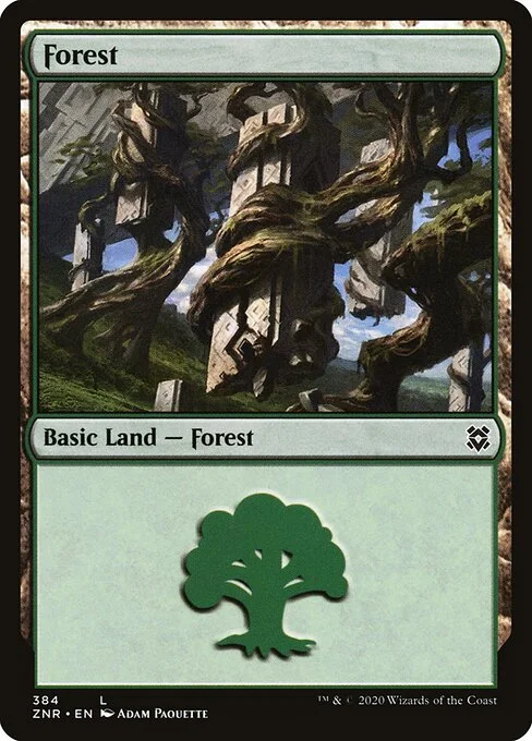 Forest, carta Magic di tipo Basic Land — Forest illustrata da Adam Paquette
